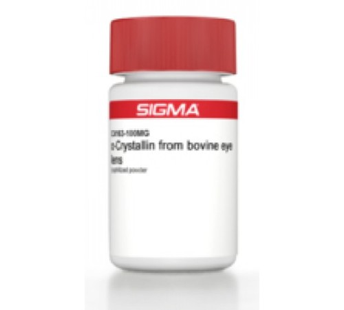 L-Кристаллин из хрусталика бычьего глаза Sigma C5163 L-Кристаллин из хрусталика бычьего глаза Sigma C5163