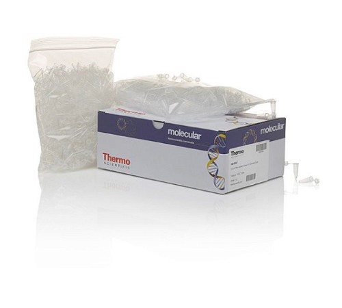 Пробирки для ПЦР, 0,2 мл, выпуклая крышка, бесцветные, Thermo FS Пробирки для ПЦР, 0,2 мл, выпуклая крышка, бесцветные, Thermo FS